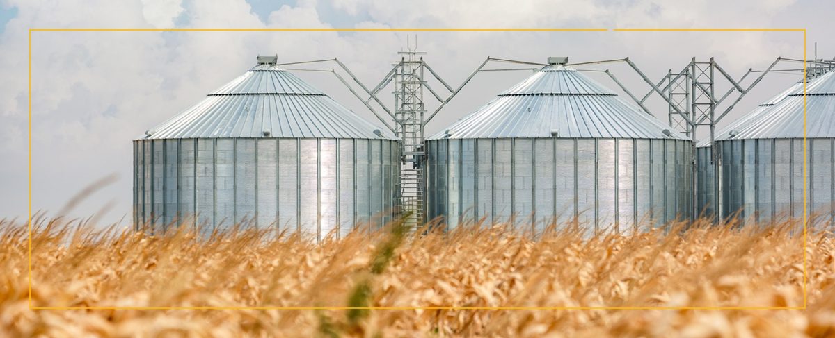 Grain Farming Process From The Field To The Bin TAM Systems