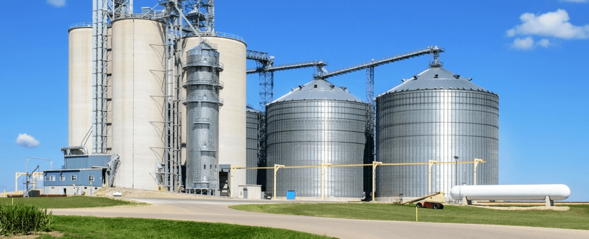 Grain Bins vs. Silos: What's the Difference? | TAM Systems