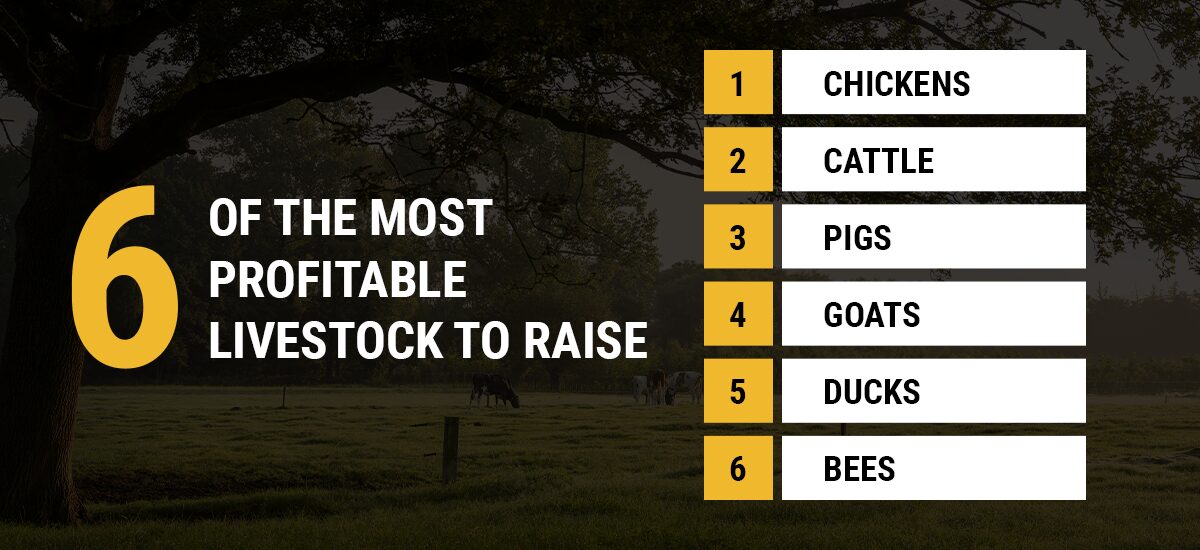 6 most profitable livestock to raise